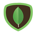 MongoDB